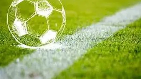 “曼联与热刺因高昂转会费婉拒引进布伦特福德门将拉亚”